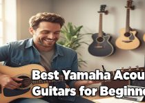 Best Yamaha Acoustic Guitars for Beginners