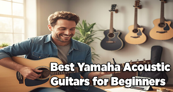 Best Yamaha Acoustic Guitars for Beginners