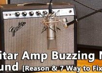 Guitar Amp Buzzing No Sound