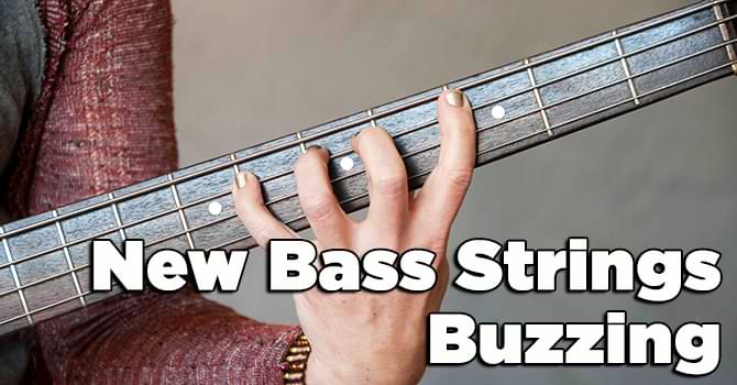 New Bass Strings Buzzing