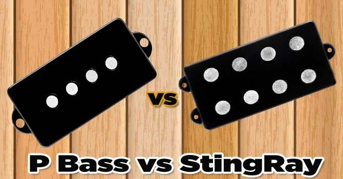 P Bass vs StingRay