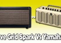 Positive Grid Spark Vs Yamaha THR