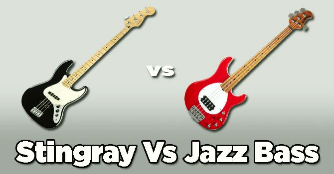 Stingray Vs Jazz Bass