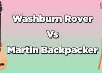Washburn Rover Vs Martin Backpacker