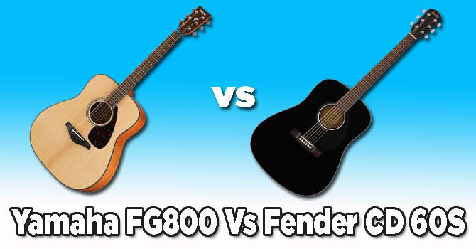 Yamaha FG800 Vs Fender CD 60S