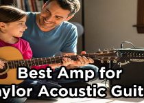 best amp for taylor acoustic guitar