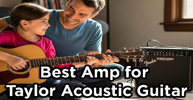 best amp for taylor acoustic guitar